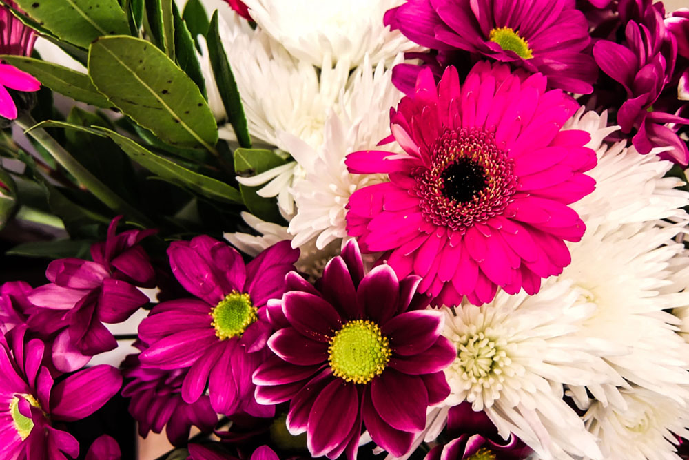 Flowers for Mother's Day